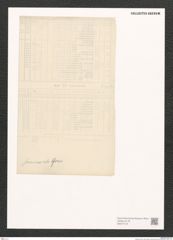 Diatomeae indet. Zeichnungen Sammlung Grunow (NHMW-BOT-W0371418)